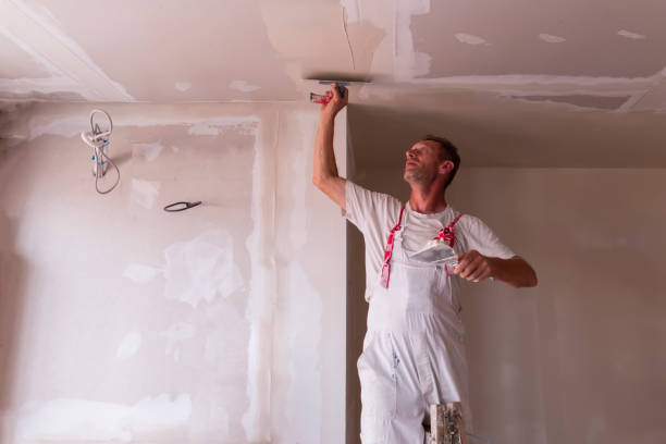 Best Fire-Damaged Drywall Repair  in Norwood, OK